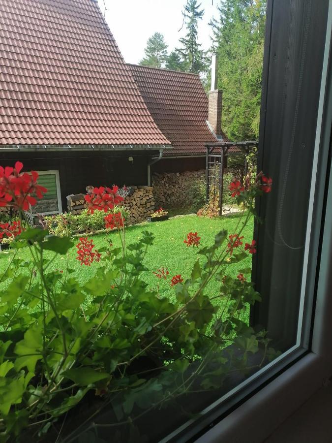 Willa Pod Lasem Szklarska Poręba Exterior foto