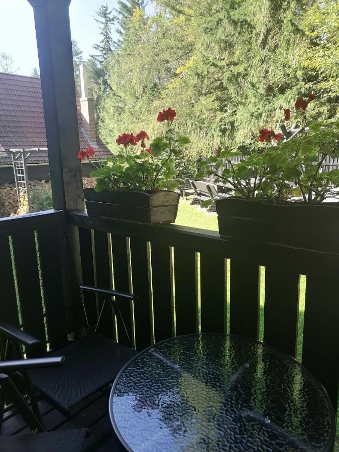 Willa Pod Lasem Szklarska Poręba Exterior foto