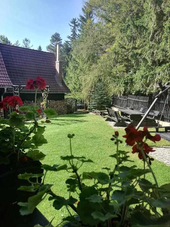 Willa Pod Lasem Szklarska Poręba Exterior foto